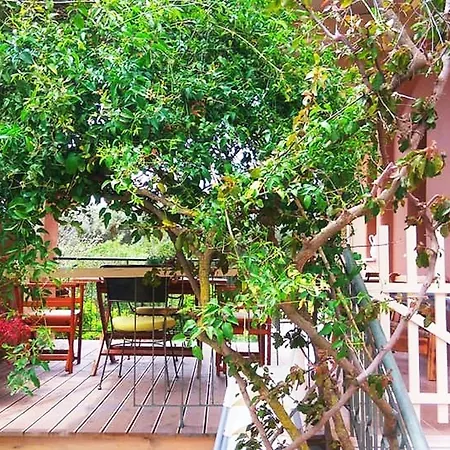 Maria'S Studios & Apartments Aparthotel Kefalonia Island