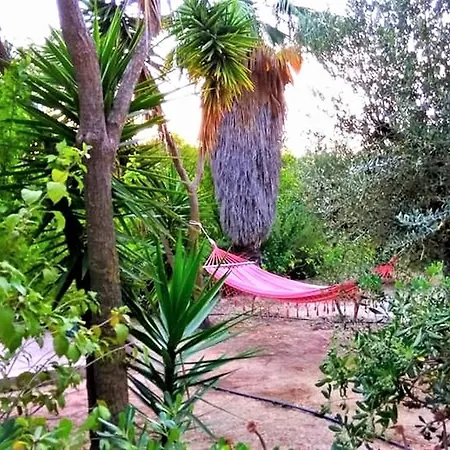 Maria'S Studios & Apartments * Kefalonia Island